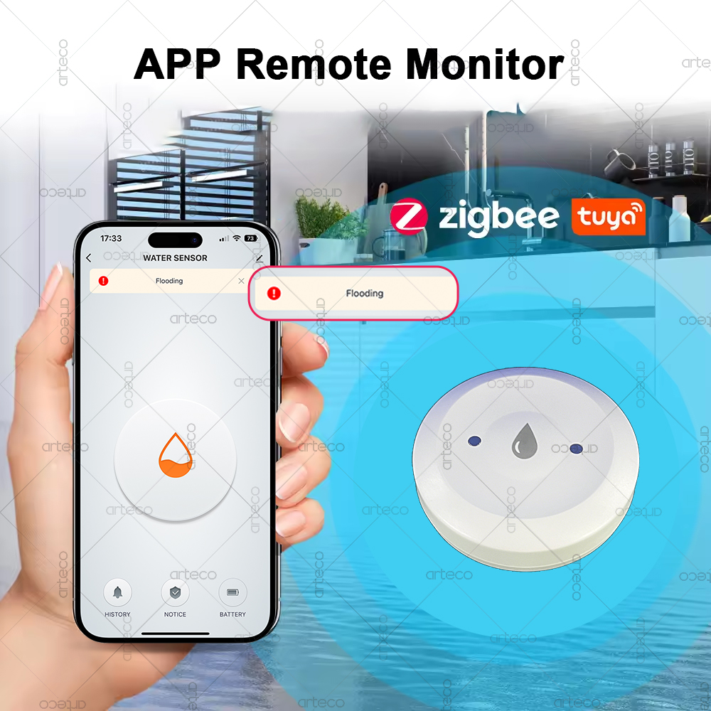 Tuya الذكية زيجبي المياه الاست - مراجعة Smart Home Tools وسعره