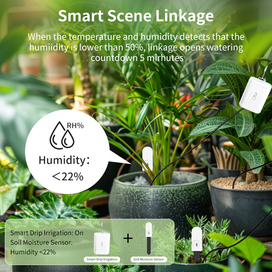 جهاز اختبار التربة الذكي Zigbe - مراجعة Smart Home Zigbee 3.0 وسعره